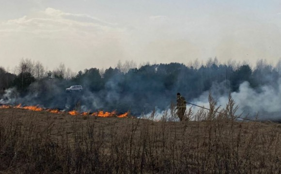С начала пожароопасного сезона 2022 года огнеборцы Мособлпожспас потушили 1900 травяных палов