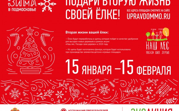 Экоакция «Подари вторую жизнь своей елке» стартует в Красногорске 15 января