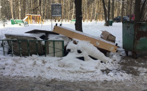 Профилактический рейд по выявлению свалок прошел в Красногорске