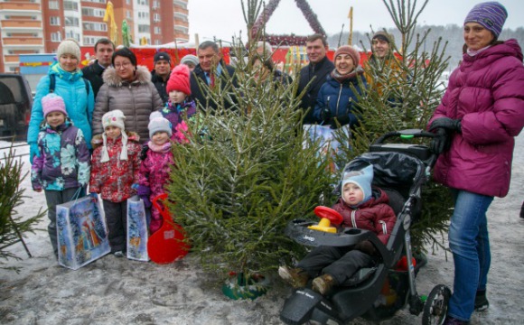 Первый подмосковный елочный базар открылся в Красногорске