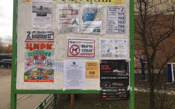 В Красногорске напомнили жителям о правилах дорожного движения