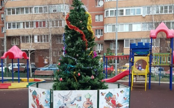 По просьбам жителей установлена новогодняя елка на ул.Успенской
