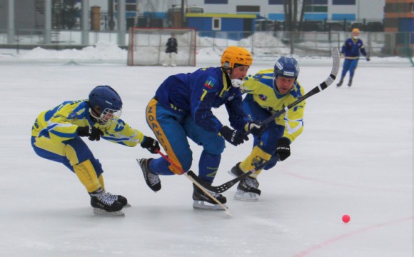 Красногорские хоккеисты одержали победу над «Волгой-Черемшан»