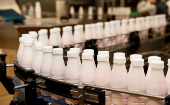 Поддержка молочной отрасли РФ в 2021 году составит более 30 млрд. рублей