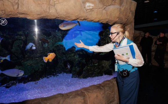 Внеурочные занятия для подмосковных школьников разработали в «Крокус Сити Океанариуме» в Красногорске