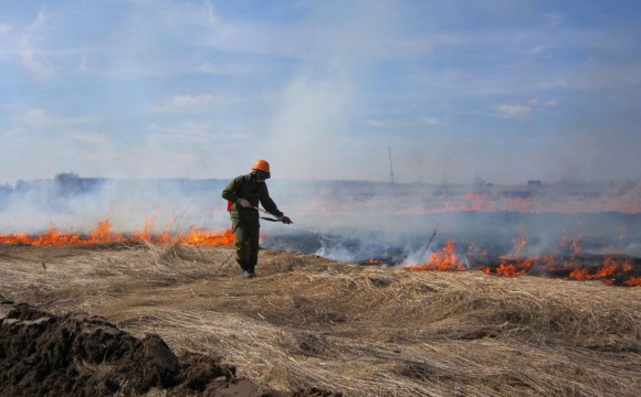 В лесах Московской области начался пожароопасный сезон