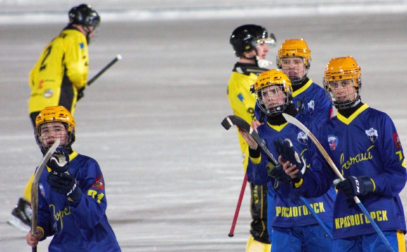 Хоккеисты красногорского клуба «Зоркий» выиграли серию домашних матчей