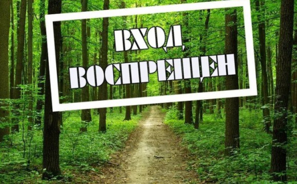 Ограничено пребывание и въезд в леса Красногорска