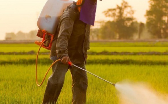 Минэкологии: в сфере оборота пестицидов и ядохимикатов следует навести порядок