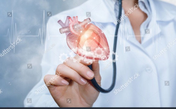 Красногорские врачи переняли опыт работы у коллег по неотложной кардиологии