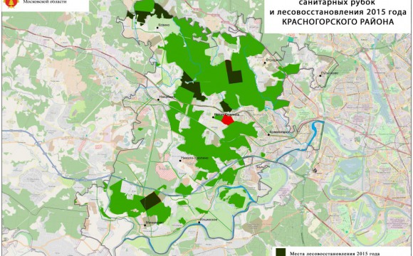 Где будут проходить санитарные рубки и посадка леса в 2015 году