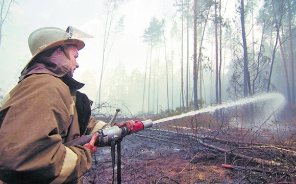 Скорость ликвидации лесных пожаров в Подмосковье удвоилась по сравнению с 2010 годом