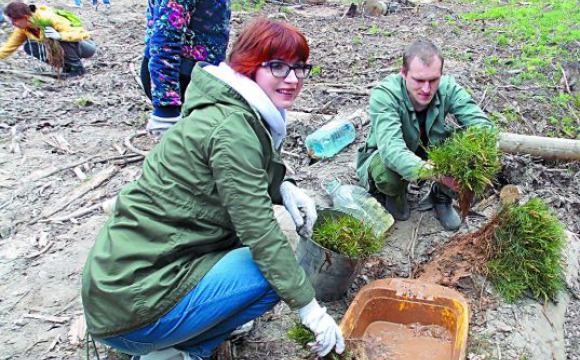 Роща жизни.  В Красногорском районе посадили 5000 сосенок