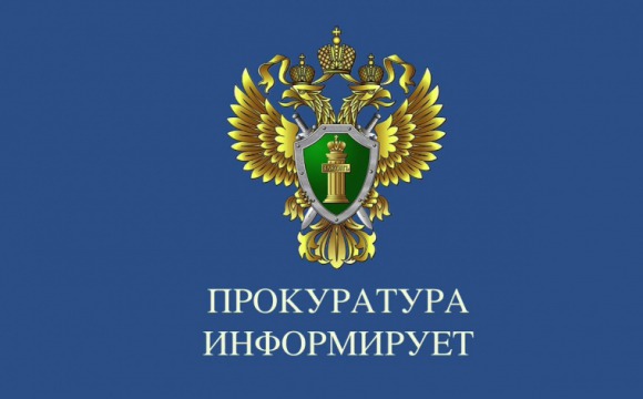 Красногорская городская прокуратура направила в суд уголовное дело о незаконной организации и проведении азартных игр