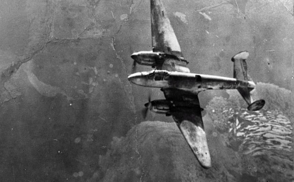 Красногорский поисковый отряд завершил обследование места падения бомбардировщика «Пе-2»
