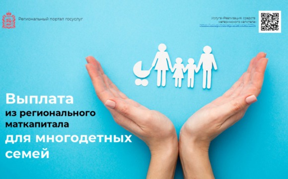 Форма поддержки многодетных семей доступна на портале госуслуг Подмосковья
