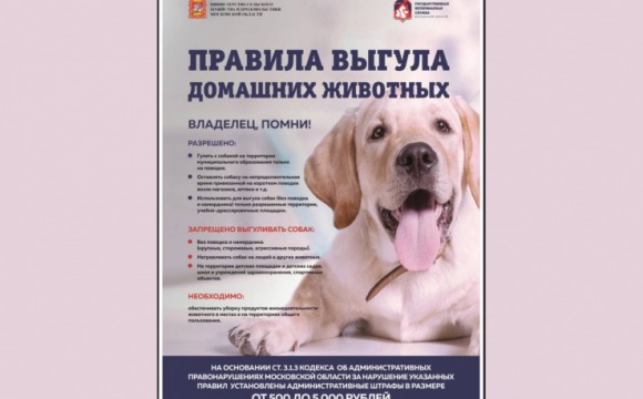 Правила выгула домашних животных в Красногорске