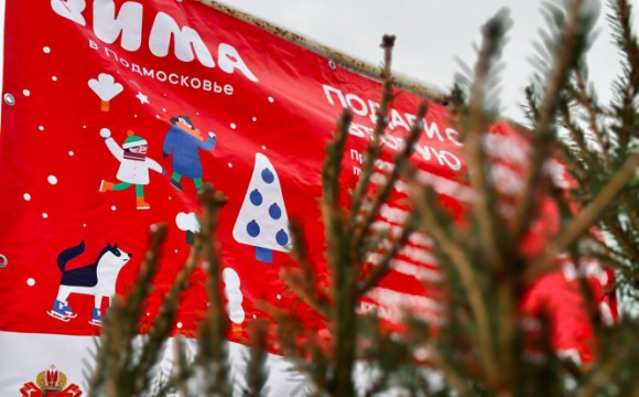 Красногорцы могут сдать новогодние ёлки на переработку до 15 февраля