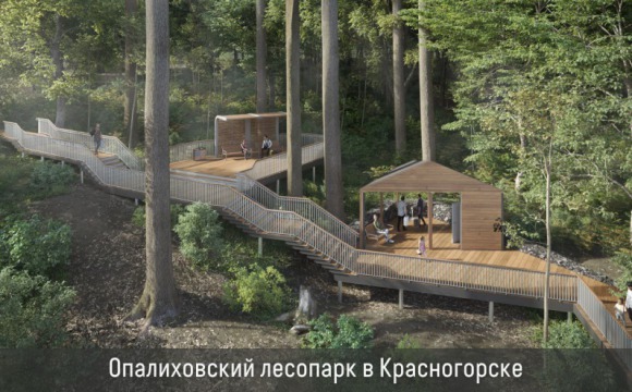 По программе "Парки в лесу" в Красногорске обустроят Опалиховский лесопарк