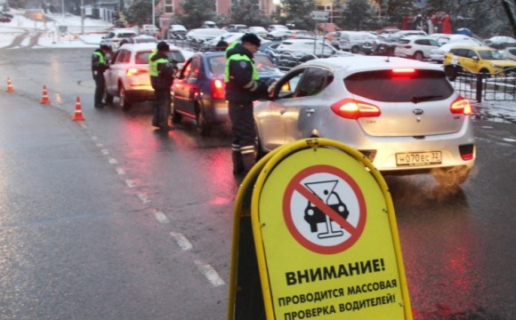 В Красногорске водителям напомнили, что «алкоголь искажает реальность» 