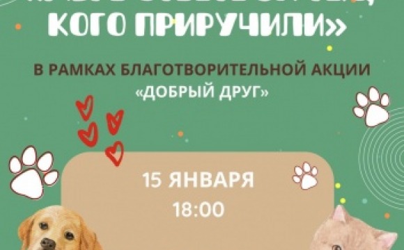 В Красногорске пройдет творческий вечер в поддержку приютов для животных