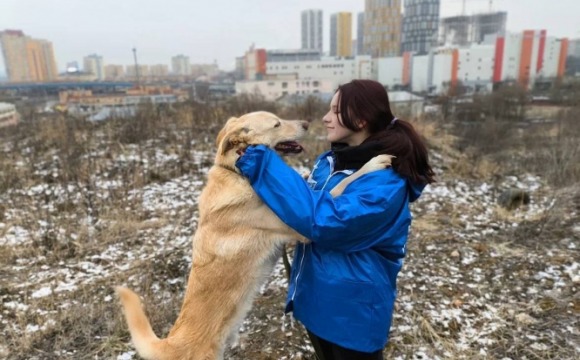 Красногорские молодогвардейцы помогают приюту для животных «Лохматый ангел»