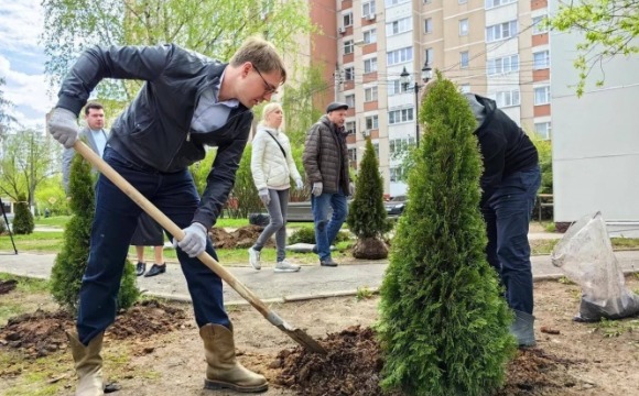 20 туй высадили в Нахабино в рамках международной акции «Сад Памяти»