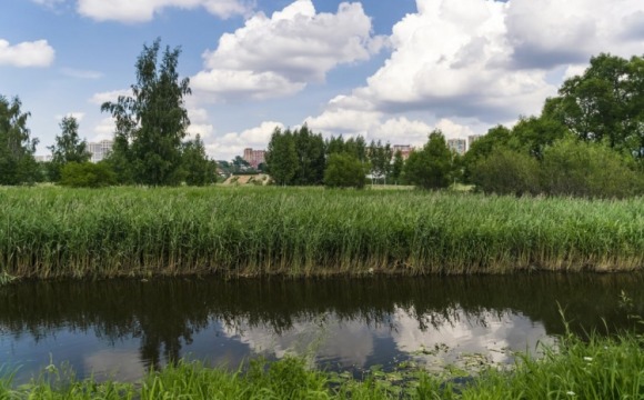 Всероссийская акция «Вода России» пройдет в Красногорске 17 мая