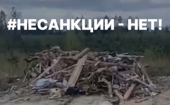 Более 20 фактов нарушения за несанкционированный сброс мусора выявили в Красногорске с начала года