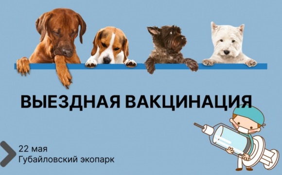Выездную вакцинацию, чипирование и регистрацию домашних животных проведут в Красногорске 22 мая