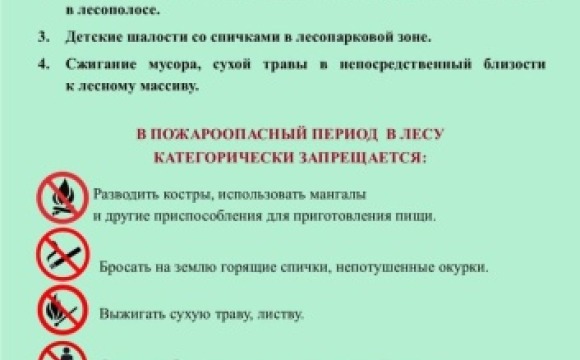 В Московской области до 3 июня введён режим ограничения пребывания граждан в лесах из-за установления IV класса пожарной опасности