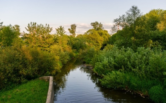 Всероссийская акция «Вода России» пройдет в Красногорске 6 июня