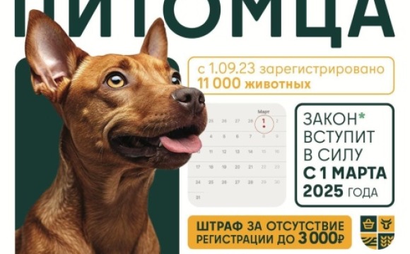 Выездную вакцинацию, чипирование и регистрацию домашних животных проведут в Красногорске 24 июня