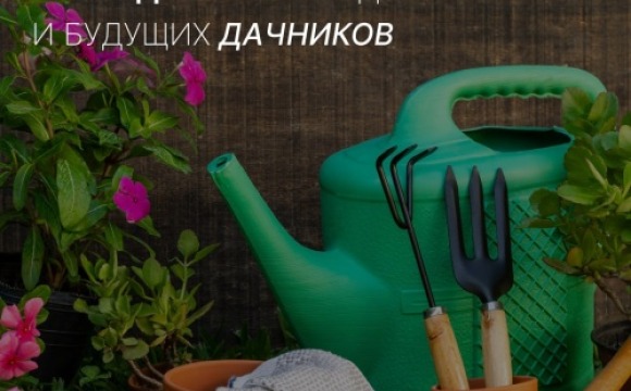 «Россети Московский регион» проведет вебинар для нынешних и будущих дачников