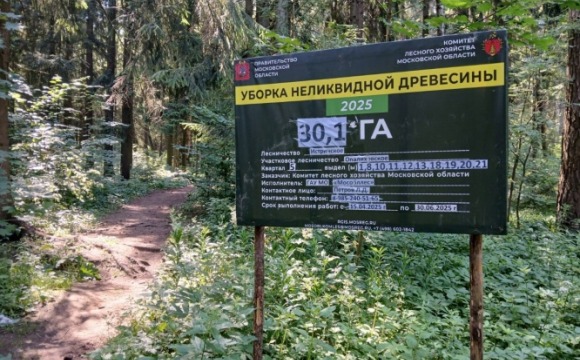 В Красногорске убирают неликвидную древесину