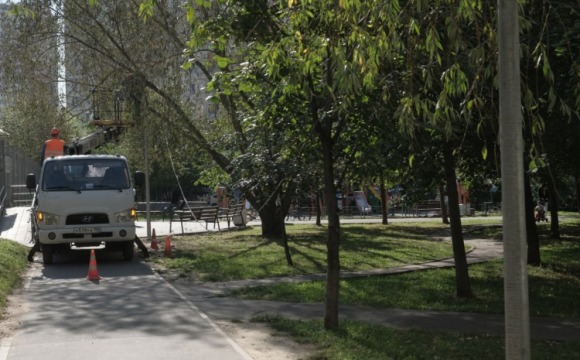 С каждый днем лучше 