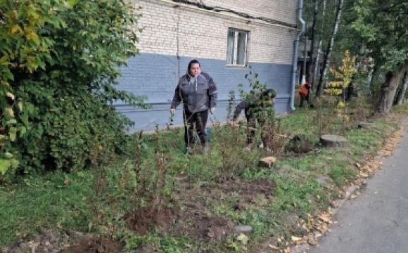 В честь Дня города в территориальном отделе Красногорск прошла акция по озеленению территории. В ней приняли участие сотрудники отдела, работники МБУ «КГС» и активные жители города