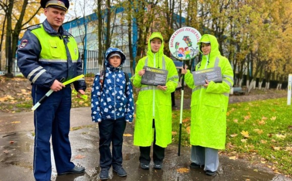 «Родительский патруль»: забота о безопасности детей на дорогах