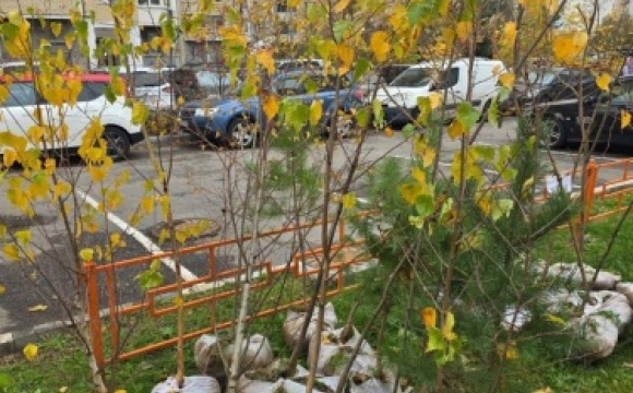 В Павшинской пойме прошел субботник