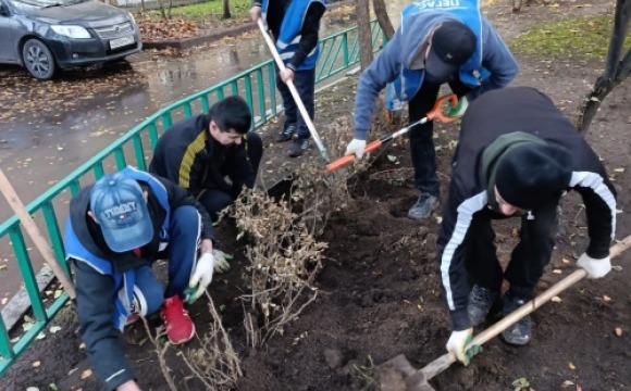 В Красногорске прошла акция по озеленению дворовых территорий