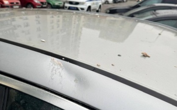 Более 20 владельцев пострадавших в результате атаки БПЛА в Красногорске автомобилей получат денежные компенсации