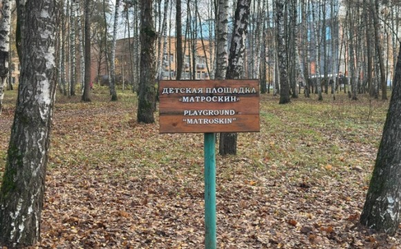 С каждым днем лучше!