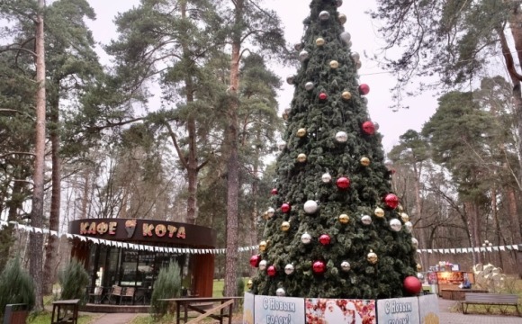 С каждым днем лучше!