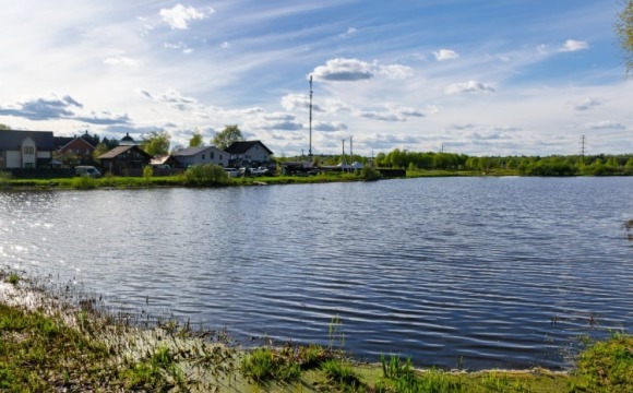 Жители Красногорска могут проголосовать за очистку пруда в деревне Нефедьево