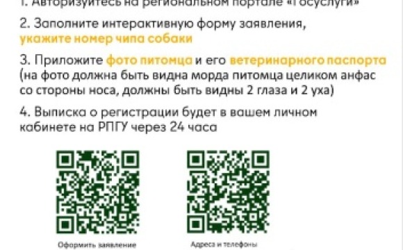 Внимание, красногорцы!