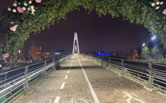 Напоминаем, что голосование по вопросу разметки моста в Павшинской пойме продолжается