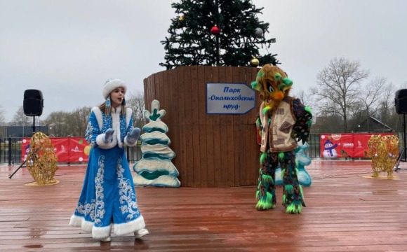 Приход зимы отметят зажжением елок в Красногорске
