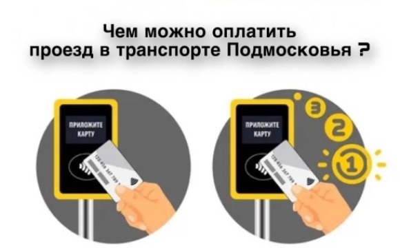 Чем можно оплатить проезд в транспорте Подмосковья?