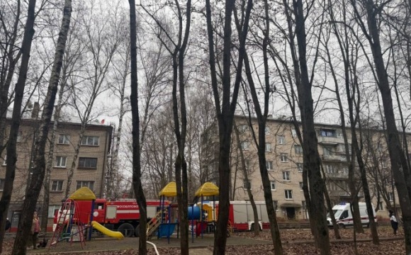 В Нахабино огнеборцы спасли кота во время тушения пожара