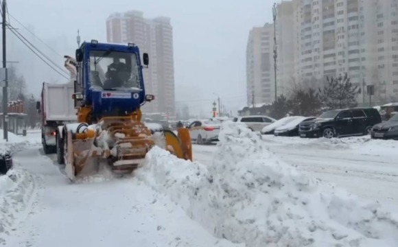 «Золотые руки» помощника в борьбе со снегом